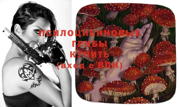 ПСИЛОЦИБИНОВЫЕ ГРИБЫ Красноперекопск