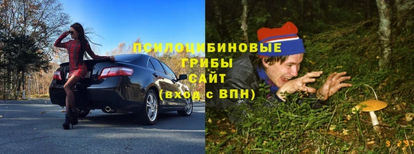 ПСИЛОЦИБИНОВЫЕ ГРИБЫ Красноперекопск