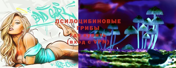 спайс Краснослободск