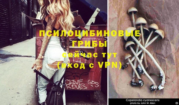 спайс Краснослободск