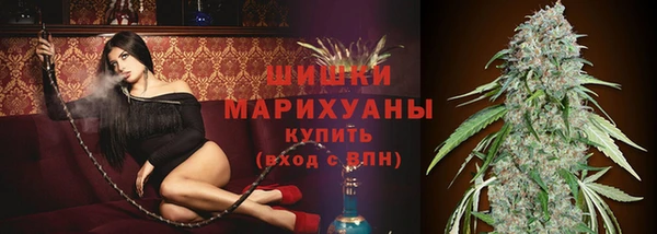 молекула духа Коряжма