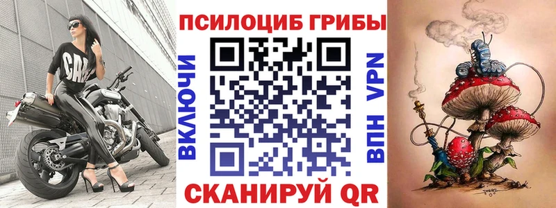 Галлюциногенные грибы GOLDEN TEACHER  закладка  OMG tor  Павловский Посад 