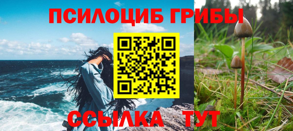 Псилоцибиновые грибы MAGIC MUSHROOMS Павловский Посад