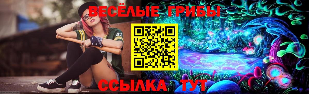 закладка  Вход с VPN  Павловский Посад  Псилоцибиновые грибы MAGIC MUSHROOMS 