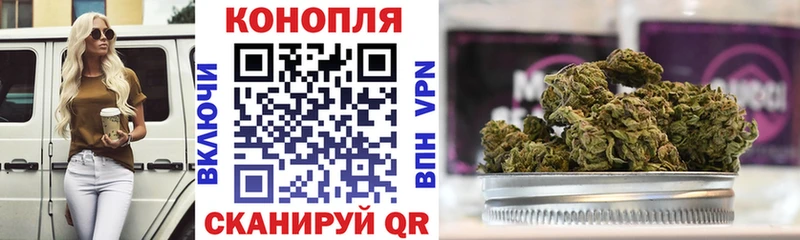 МАРИХУАНА гибрид Павловский Посад